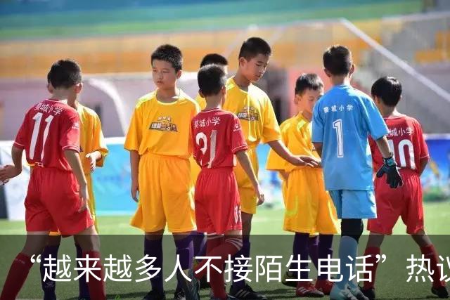 “越来越多人不接陌生电话”热议，广东人被调侃“最不爱接电话”，因为怕被诈骗推销骚扰；观点：接陌生来电沉默3秒，本质是公共信任不足