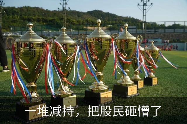 一堆减持，把股民砸懵了