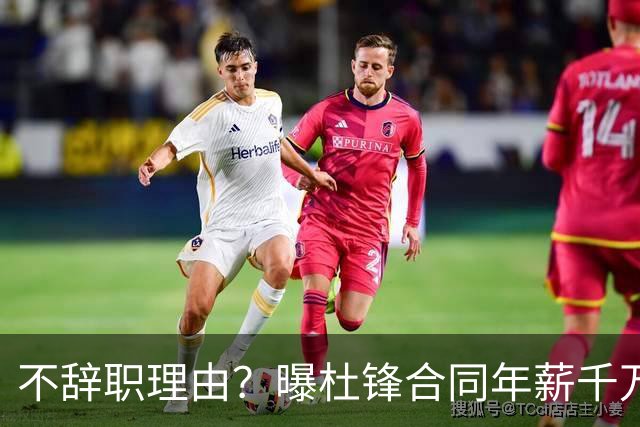 不辞职理由？曝杜锋合同年薪千万，担任男篮主帅，郭士强1年收入多少？