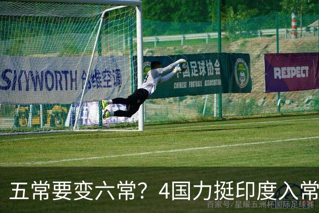 五常要变六常？4国力挺印度入常，俄支持扩员，中方表态点到为止