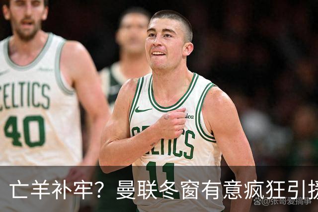 亡羊补牢？曼联冬窗有意疯狂引援，已瞄准两大目标