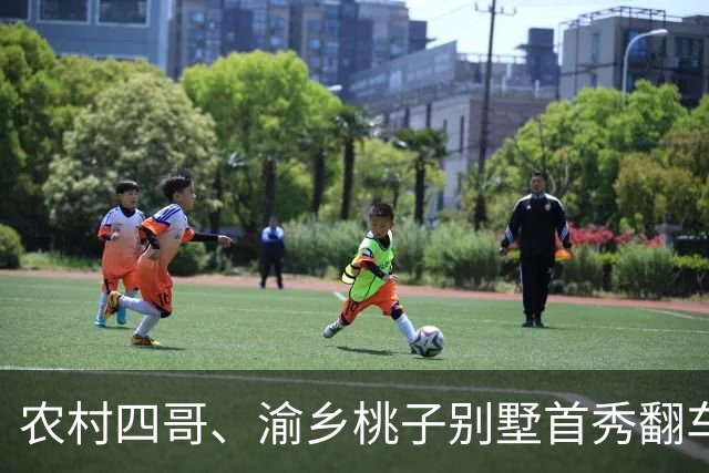 农村四哥、渝乡桃子别墅首秀翻车？网友吐槽不断，两大硬伤被扒！