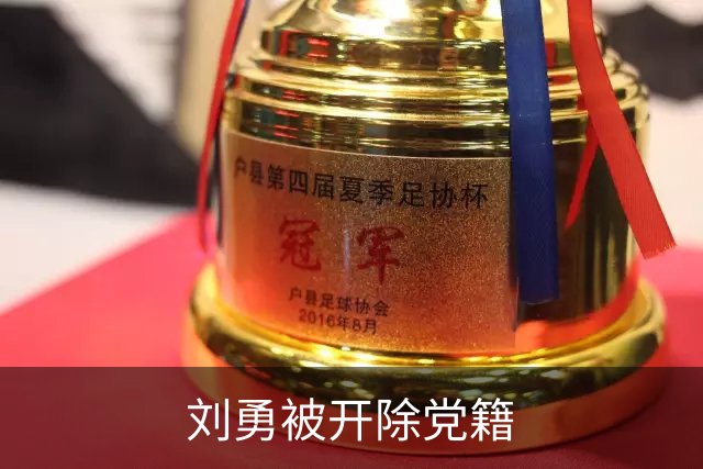 刘勇被开除党籍