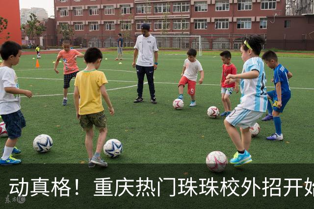 动真格！重庆热门珠珠校外招开始全部清零
