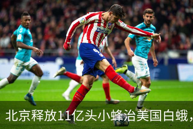 北京释放11亿头小蜂治美国白蛾，1毫米的神奇小蜂什么来头？