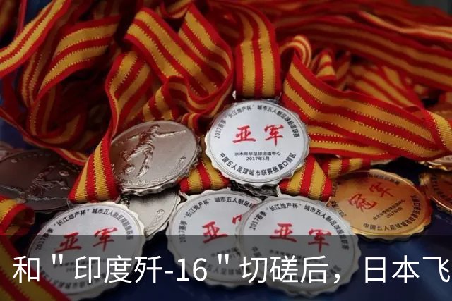 和＂印度歼-16＂切磋后，日本飞行员自信爆棚：侧卫战机不过如此