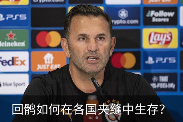 回鹘如何在各国夹缝中生存？