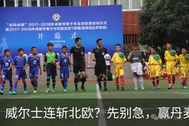 威尔士连斩北欧？先别急，赢丹麦才关乎欧国联保级