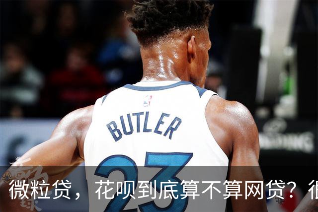 微粒贷，花呗到底算不算网贷？很多人搞错了，后果很严重！