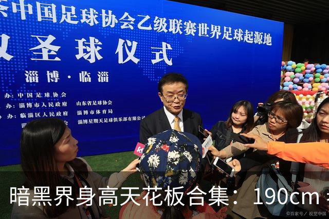 暗黑界身高天花板合集：190cm 老师扎堆，视觉冲击力拉满