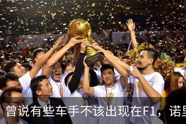曾说有些车手不该出现在F1，诺里斯：我已向科拉平托道歉