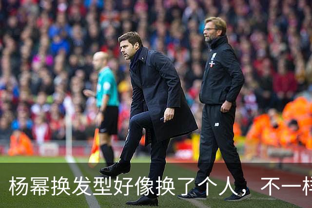 杨幂换发型好像换了个人，不一样的气质，短发的杨幂美得很有味道