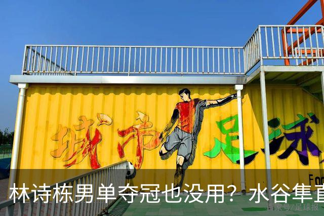 林诗栋男单夺冠也没用？水谷隼直言：国乒只剩一张“王牌”王楚钦