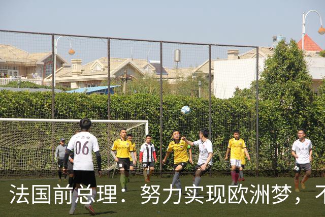 法国前总理：努力实现欧洲梦，不能让欧洲成为中国第24个省