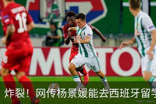 炸裂！网传杨景媛能去西班牙留学，推荐信是武汉大学给的