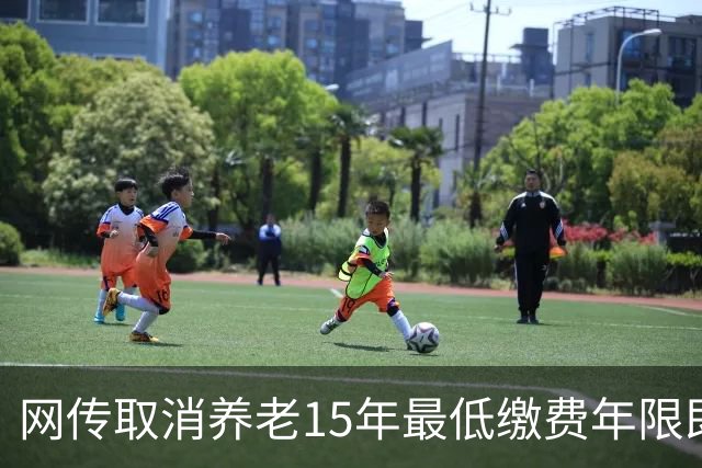 网传取消养老15年最低缴费年限即将实施，这只是探讨并非已定政策