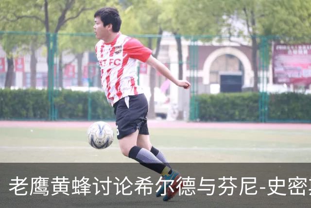 老鹰黄蜂讨论希尔德与芬尼-史密斯互换