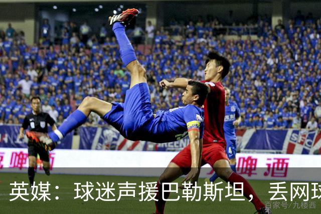 英媒：球迷声援巴勒斯坦，丢网球进场导致爱尔兰vs奥地利比赛中断
