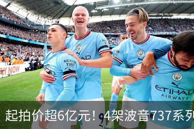 起拍价超6亿元！4架波音737系列民航客机无人报名流拍，共吸引12万余人次围观