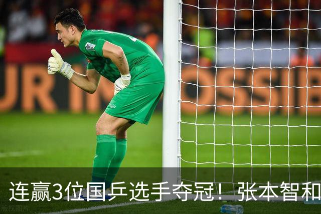 连赢3位国乒选手夺冠！张本智和面向林诗栋的粉丝，展示日本国旗