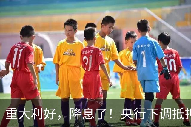 重大利好，降息了！央行下调抵押补充贷款利率0.25个百分点