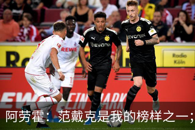 阿劳霍：范戴克是我的榜样之一；儿时唯一的偶像是小罗