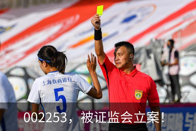 002253，被证监会立案！