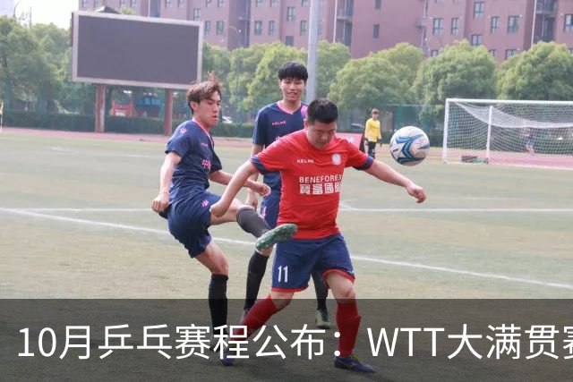 10月乒乓赛程公布：WTT大满贯赛+冠军赛，欧锦赛+亚锦赛陆续登场