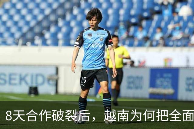 8天合作破裂后，越南为何把全面技术转让设为高铁招标硬门槛？