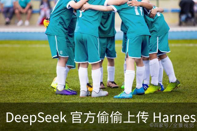 DeepSeek 官方偷偷上传 Harness 桌面端安装包，我已经用上了。。附最新下载地址